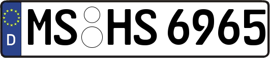 MS-HS6965