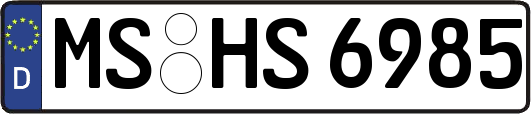 MS-HS6985
