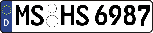 MS-HS6987