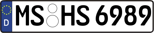 MS-HS6989