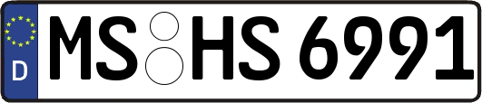 MS-HS6991