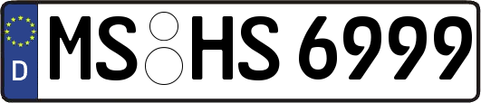 MS-HS6999