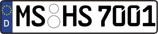 MS-HS7001