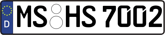MS-HS7002
