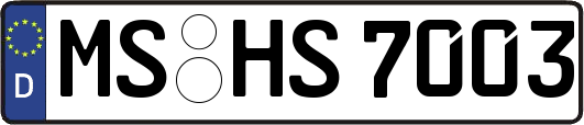 MS-HS7003