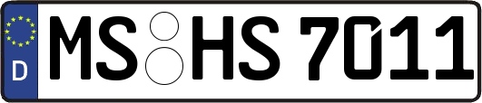 MS-HS7011