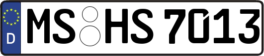 MS-HS7013