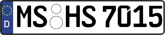 MS-HS7015