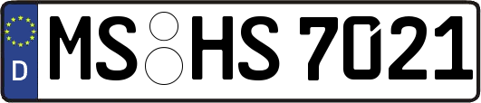 MS-HS7021