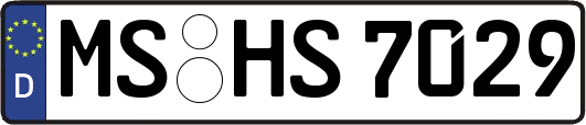 MS-HS7029