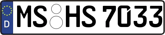 MS-HS7033
