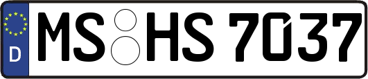 MS-HS7037