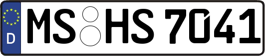 MS-HS7041