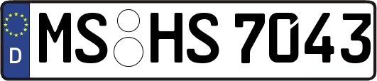 MS-HS7043