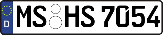 MS-HS7054