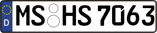 MS-HS7063