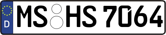MS-HS7064