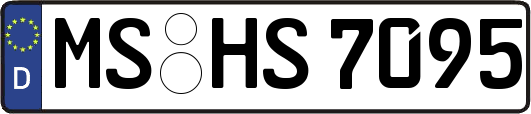 MS-HS7095