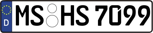 MS-HS7099