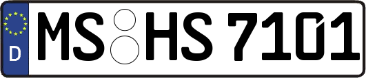 MS-HS7101