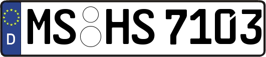 MS-HS7103