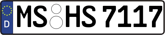 MS-HS7117