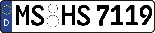 MS-HS7119