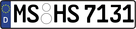 MS-HS7131