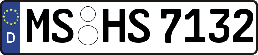 MS-HS7132