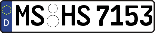 MS-HS7153
