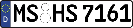 MS-HS7161
