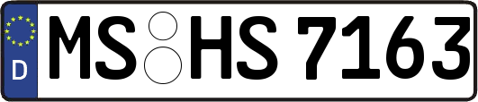 MS-HS7163