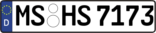 MS-HS7173