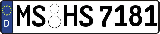 MS-HS7181