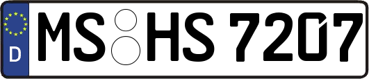 MS-HS7207
