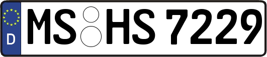MS-HS7229