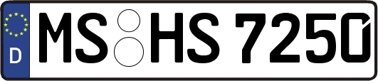 MS-HS7250