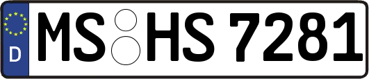 MS-HS7281