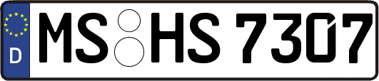 MS-HS7307