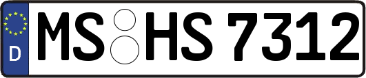 MS-HS7312