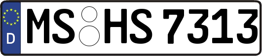 MS-HS7313