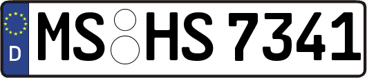 MS-HS7341