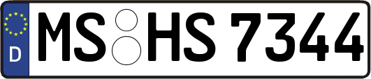 MS-HS7344