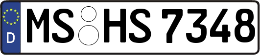 MS-HS7348