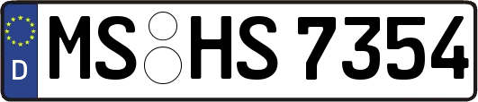 MS-HS7354