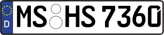 MS-HS7360
