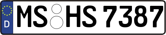 MS-HS7387