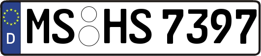 MS-HS7397