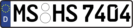 MS-HS7404