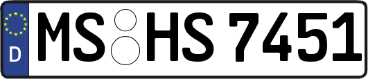 MS-HS7451